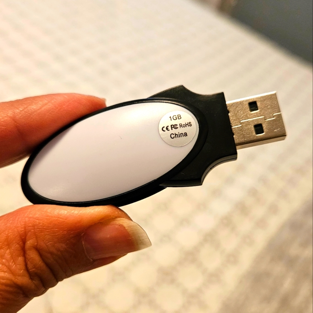 1 GB Flash Drive